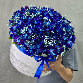 Большая коробка из синих орхидеи