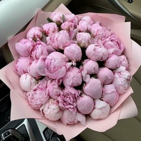 Нежный букет из 35 розовых пионов