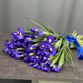 Букет синих ирисов