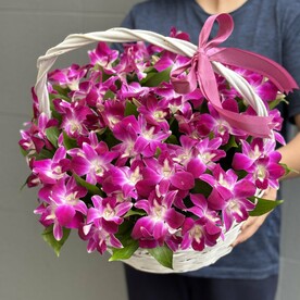 Фиолетовые 💜 орхидеи в корзине