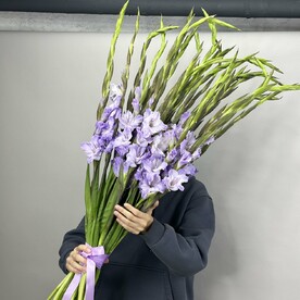 19 Сиреневых Гладиолусов