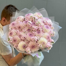 Георгины с кустовыми маттиолами