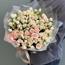 Роза кустовая, Пленка матовая