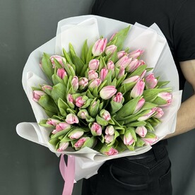 Нежно-розовый тюльпан 🌷