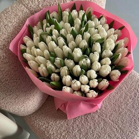 Букет из 101 белого тюльпана