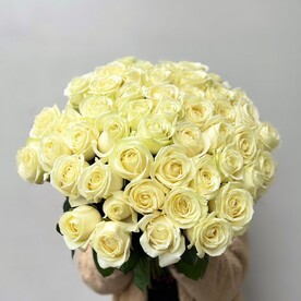 Роза белая