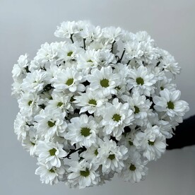 Букет из 9 кустовых хризантем, арт: 3118