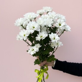 Букет из 3 кустовых хризантем