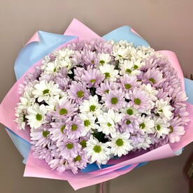 Хризантема кустовая, Авторская упаковка