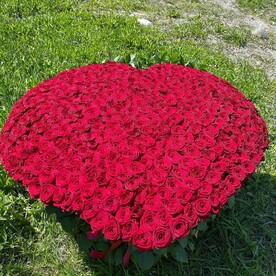 Роза ред наоми, Зелень, Корзина