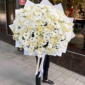 Белоснежка