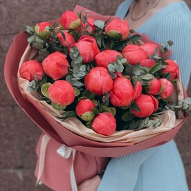 Пион корал шарм, Эвкалипт, Дизайнерская упаковка