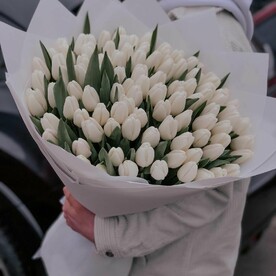 Тюльпан 🌷