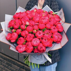 Пион корал шарм, Дизайнерская упаковка