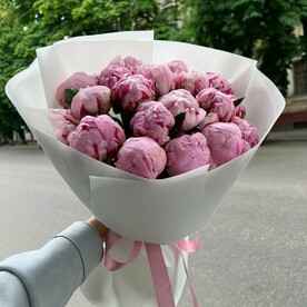 Пионы