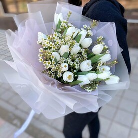 Тюльпаны 🌷