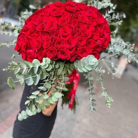 Роза красная, Эвкалипт