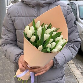 Тюльпаны