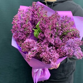Сирень сезонные