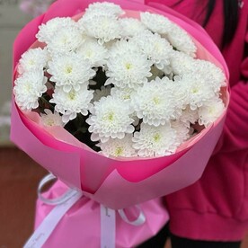 Хризантема кустовая