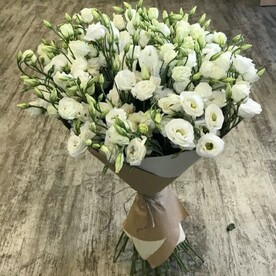 Лизиантус Эустома, Крафт