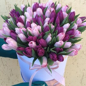 Тюльпан, Шляпная коробка