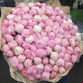 Пион, Упаковка