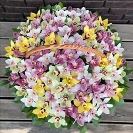 Орхидея, Капсулы с водой, Зелень декоративная, Оазис, Корзина