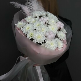 Нежная хризантема