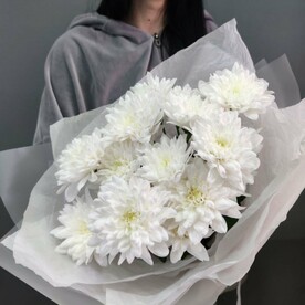 Хризантема кустовая, Пленка дизайнерская