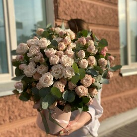 Эвкалипт, Роза бомбастик, Оазис, Коробка