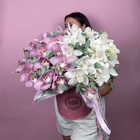 Premium orchid💟