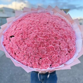 201 розовый диантус