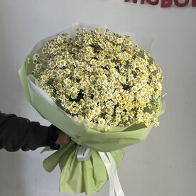 Ромашка 25 штук