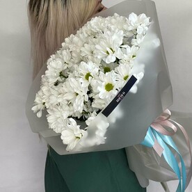 Хризантема кустовая, Дизайнерская упаковка