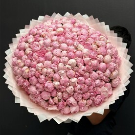 Пион, Дизайнерская упаковка