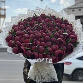 Пионы