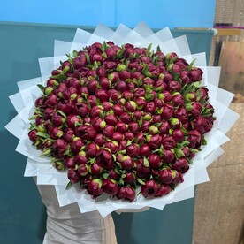 Пионы