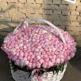 Пион, Коробка, Оазис