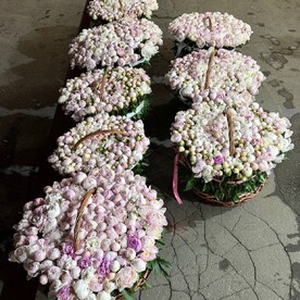 Пионы в корзине