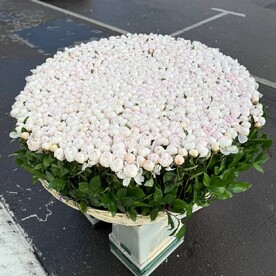 Пионы в корзине