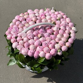 Пион, Рускус, Корзина, Оазис