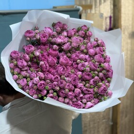 Роза кустовая, Дизайнерская упаковка