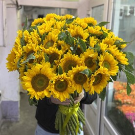 Подсолнухи