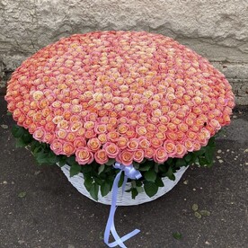 Роза в корзине