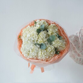 Гортензия, Авторская упаковка