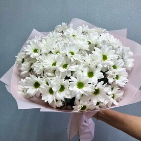 Хризантема кустовая, Упаковка