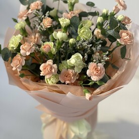 13 кустовых диантусов