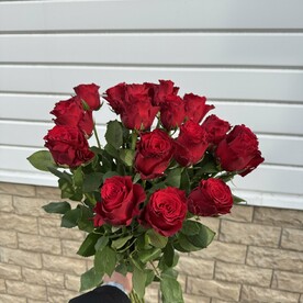 Яркая кения