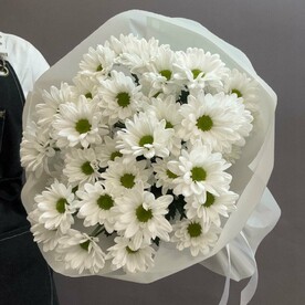 Хризантема кустовая, Упаковка